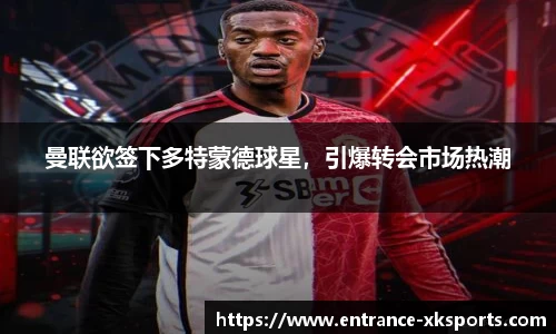 曼联欲签下多特蒙德球星，引爆转会市场热潮