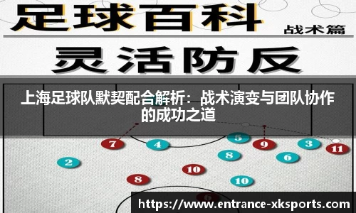 星空体育官网