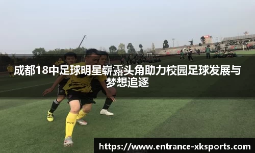 星空体育官网